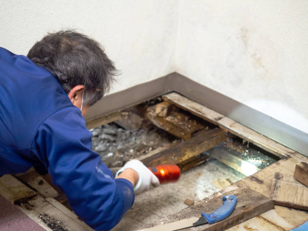 Best Home Mold Removal  in Pughtown, PA