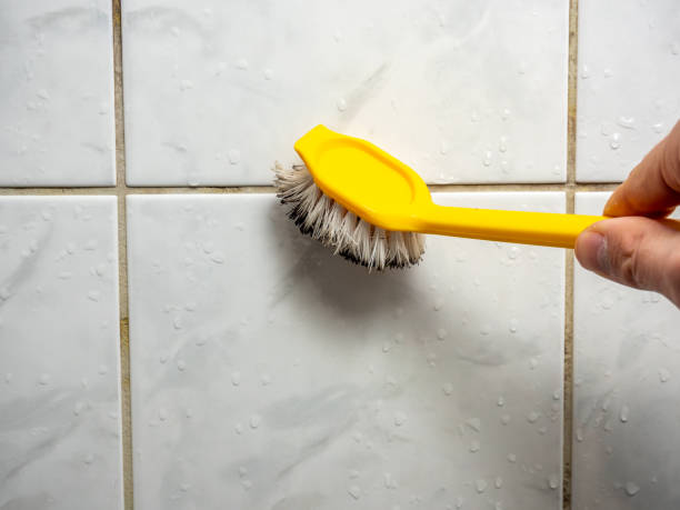 Best Mold Testing  in Pughtown, PA