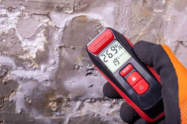 Best Mold Cleaning Services  in Pughtown, PA