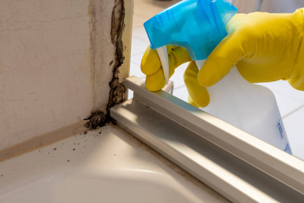 Best Crawl Space Mold Removal  in Pughtown, PA