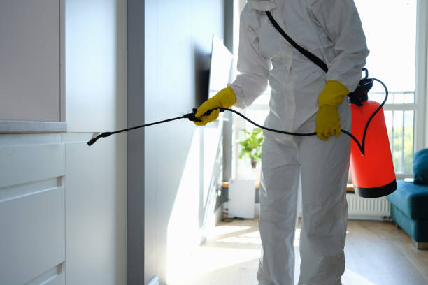 Best Mold Damage Repair  in Pughtown, PA