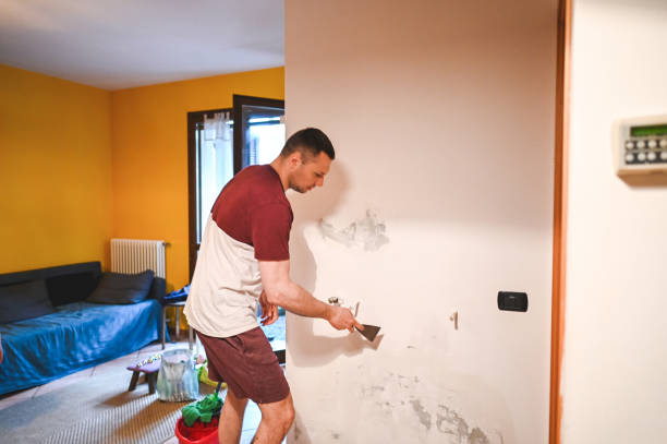 Best Home Mold Removal  in Pughtown, PA